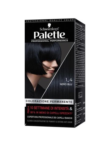 Colorazione Capelli Palette Nero Blu 1-4 | Home Essential