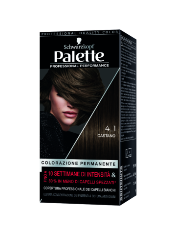 Colorazione Capelli Palette Castano 4-1 | Home Essential