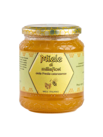 Miele Di Millefiori 500g | Home Essential