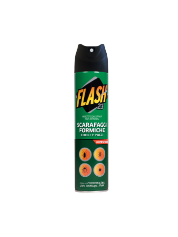 Insetticida Bergen Flash23 250ml Scarafaggi E Formiche | Home Essential