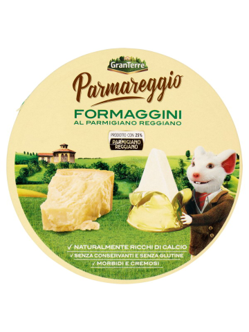 FORMAGGINI PARMAREGGIO 140G 8PZ | Home Essential
